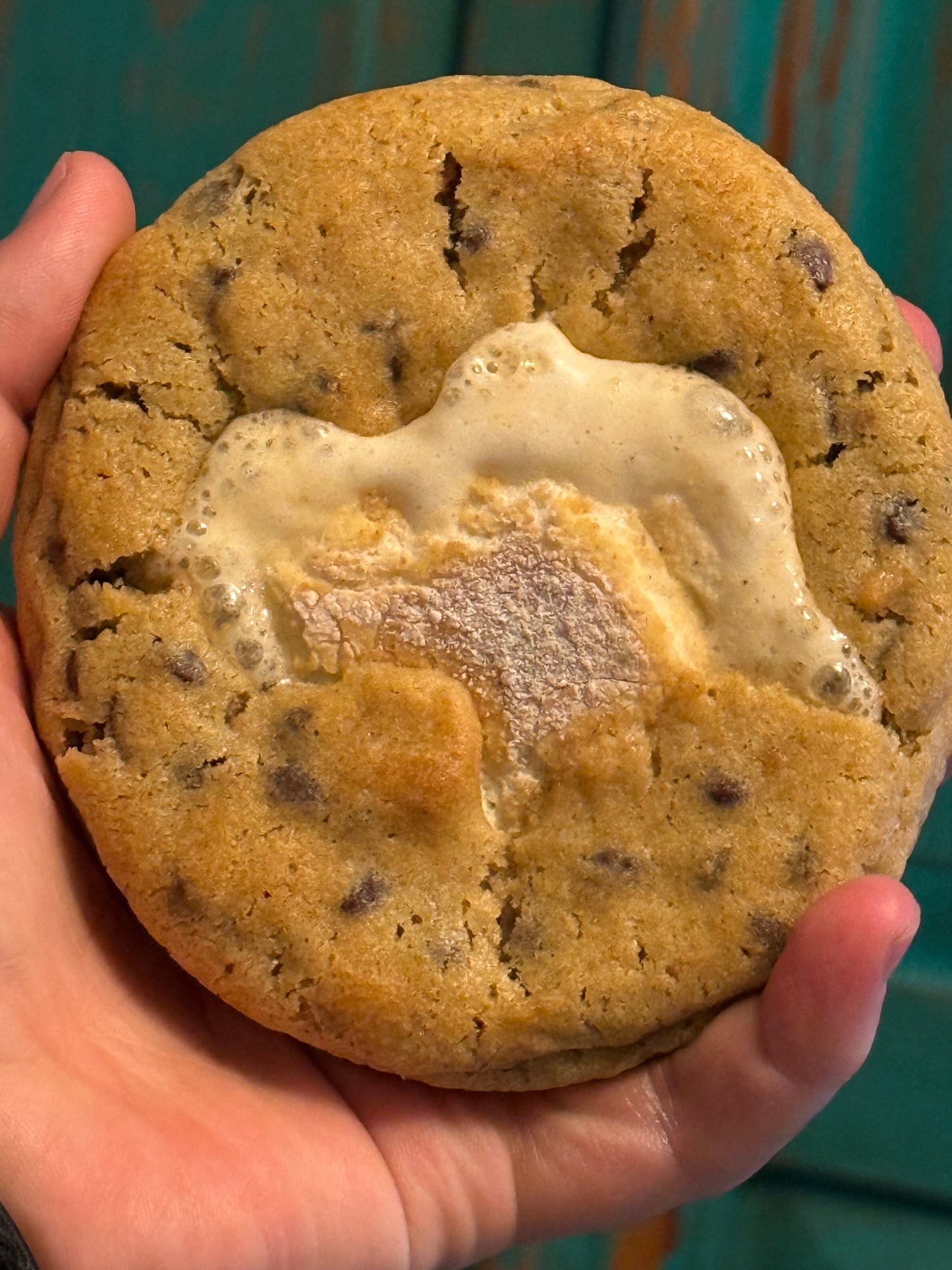 S'more For Thought Pumpkin Marshmallow